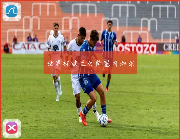 世界杯波兰对阵塞内加尔