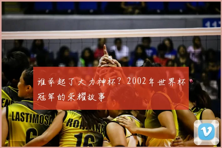 谁举起了大力神杯?2002年世界杯冠军的荣耀故事