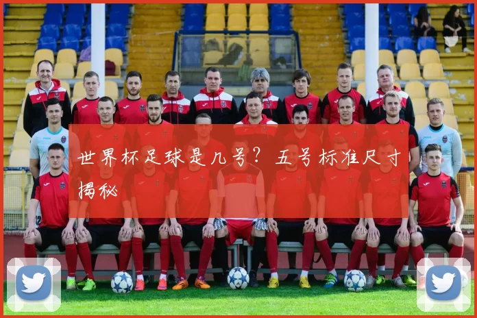 世界杯足球是几号?五号标准尺寸揭秘