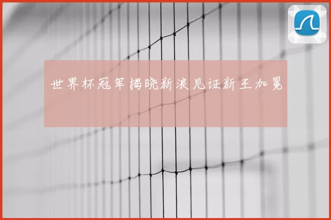 世界杯冠军揭晓新浪见证新王加冕