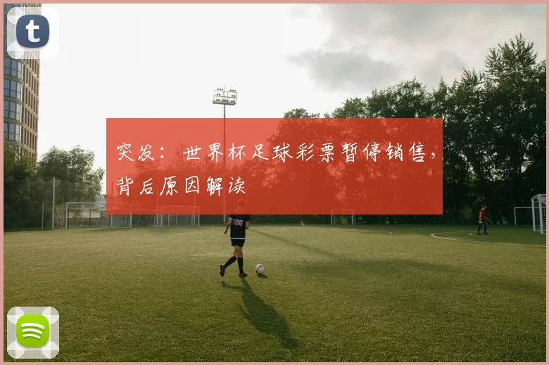 突发:世界杯足球彩票暂停销售,背后原因解读