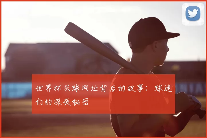世界杯买球网址背后的故事:球迷们的深夜秘密
