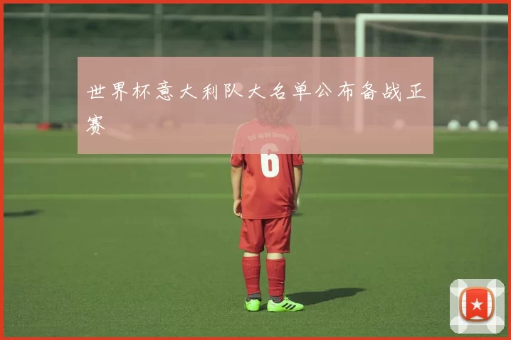 世界杯意大利队大名单公布备战正赛