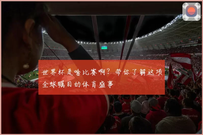 世界杯是啥比赛啊？带你了解这项全球瞩目的体育盛事