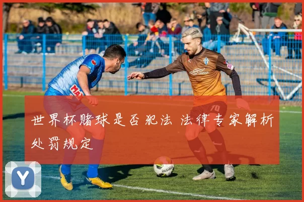 世界杯赌球是否犯法 法律专家解析处罚规定