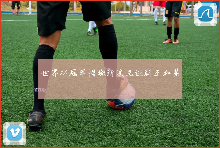 世界杯冠军揭晓新浪见证新王加冕