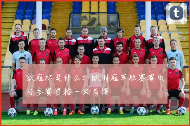欧冠杯是什么:欧洲冠军联赛赛制与参赛资格一文看懂