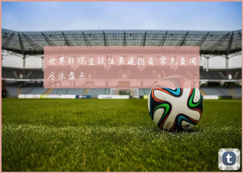 世界杯现金投注渠道指南 常见查询方法盘点