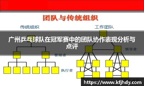 广州乒乓球队在冠军赛中的团队协作表现分析与点评